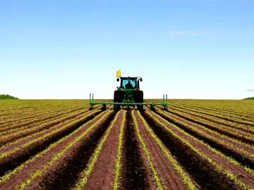 The Application of Silicone Auxiliary Surfactants in Agriculture