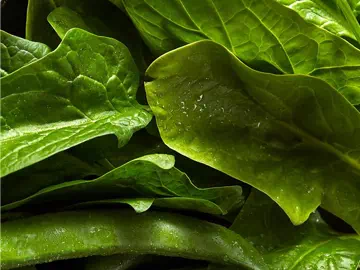 Adyuvantes Agrícolas para la protección de cultivos: definiciones, tipos y aplicaciones