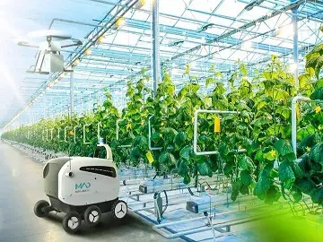 Application of Trisiloxane Adjuvants in Pesticides: Optimal Effect and Environmental Friendly