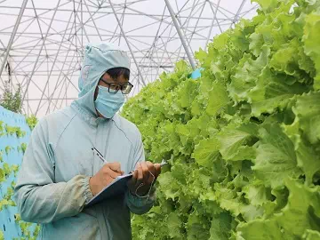 常见的农业助剂：了解它们的作用和益处
