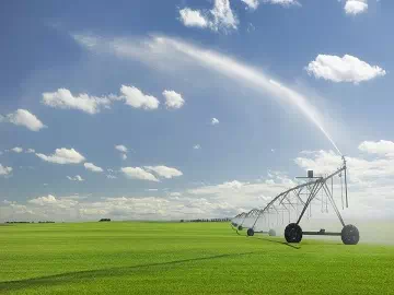 Coadyuvantes agrícolas: clave para promover la agricultura sostenible