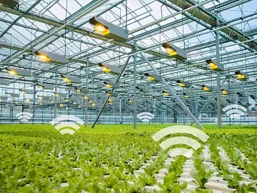 Surfactante aditivo de silicona: mejora del rendimiento en aplicaciones agrícolas