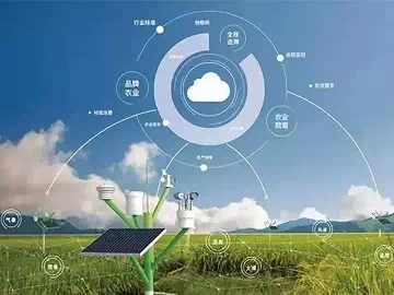 Mejora del rendimiento de los cultivos: revelando el poder de los adyuvantes agrícolas