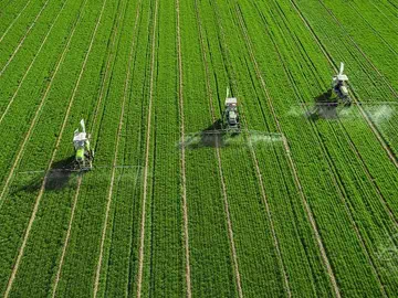 Adyuvantes de pulverización: mejora de la eficiencia y la eficacia en la protección de cultivos