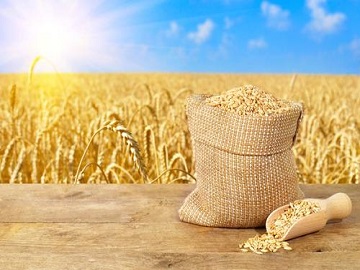 Adyuvantes de pulverización: mejora de la eficiencia de las aplicaciones agrícolas
