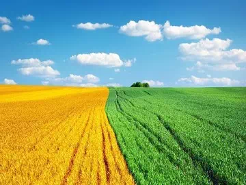 Harnessing the Power of Silicone Adjuvant Surfactants: Revolutionizing Agriculture