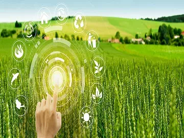 Mejora de la productividad agrícola: la aplicación prometedora del trisiloxano modificado con poliéter