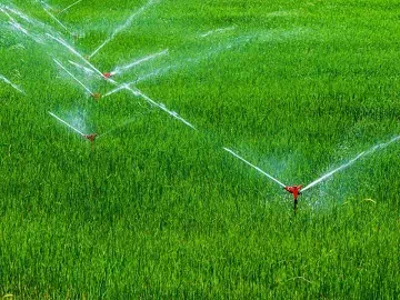 Surfactantes de trisiloxano en la agricultura: aplicaciones, beneficios e implicaciones ambientales