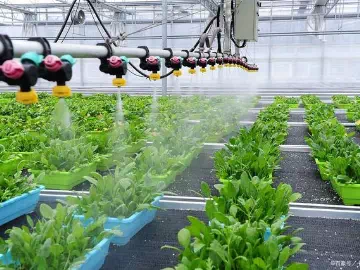Secrets of Successful Farmers: The Game-Changing Role of Agricultural Adjuvants