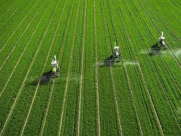 Beyond Traditional Farming: The Organosilicone Breakthrough