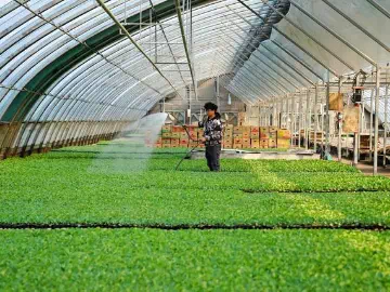 Maximizing Crop Yields: The Essential Role of Spray Adjuvants