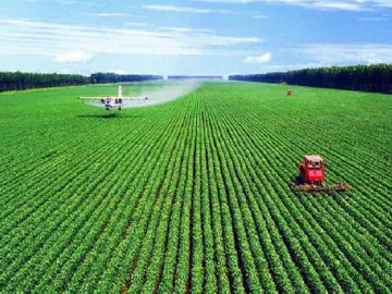 Silicone Adjuvants: The Secret Sauce of High-Yield Farming