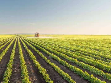 Más allá de los fertilizantes: cómo los adherentes a la agricultura están remodelando la agricultura moderna