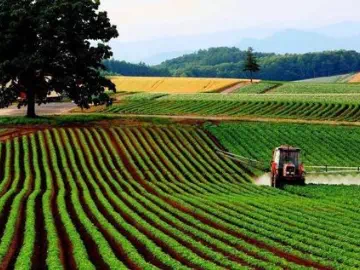 From Seeds to Harvest: The Critical Role of Dispersants in Crop Growth