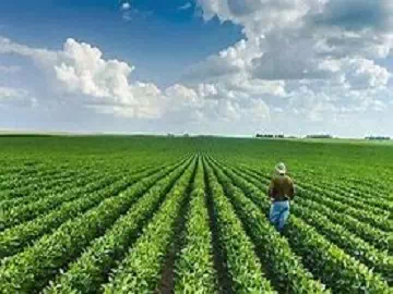 Agricultural Adjuvants: What Every Farmer Needs to Know