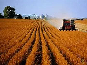 La ciencia detrás del esparcidor de silicona: mejorar la eficacia de los pesticidas