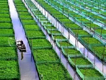 Why Every Farmer Should Consider Using Nonionic Surfactants?