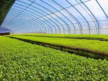 How Silicone Stickers are Revolutionizing Pest Control in Agriculture