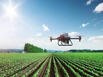 Leveraging Wetting Agents for Enhanced Pesticide Efficacy in Agriculture