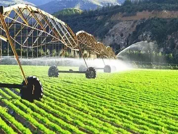 Coadyuvantes y agricultura sostenible: avanzando hacia un futuro sostenible