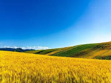 农耕新时代及其对现代农业的影响