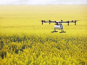 Cómo los Dispersantes Mejoran la Eficacia de los Pesticidas en los Cultivos