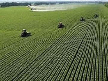 Agricultural Breakthroughs with Organosilicone: Revolutionizing Pest Management and Crop Health