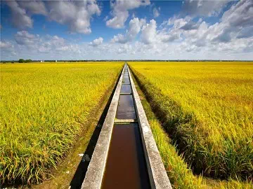 Descubriendo los secretos de la humedad del suelo: el papel crucial de los agentes humectantes en la agricultura